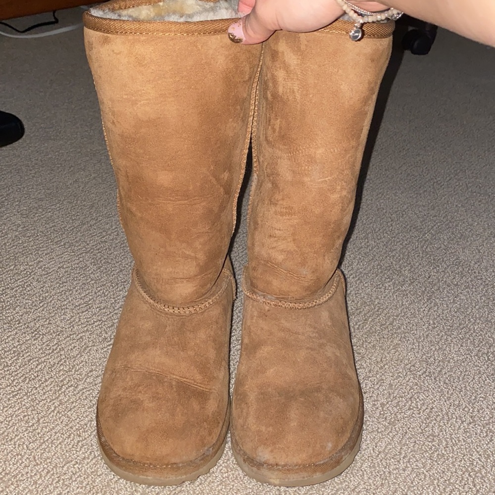 Tall chestnut uggs